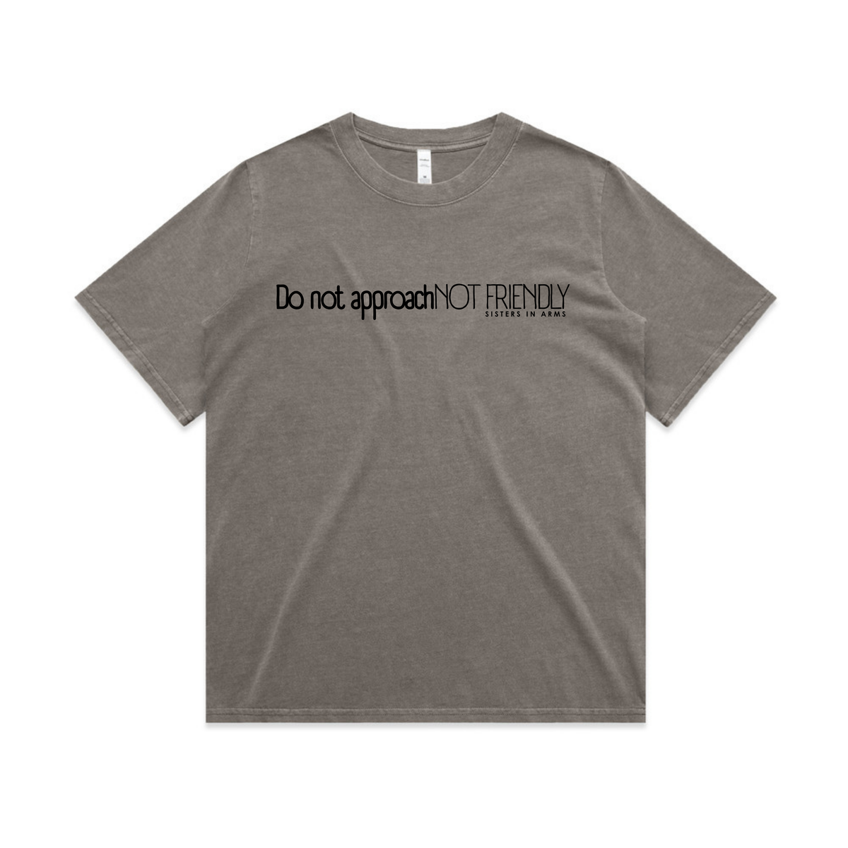 Not Friendly Heavy Tee