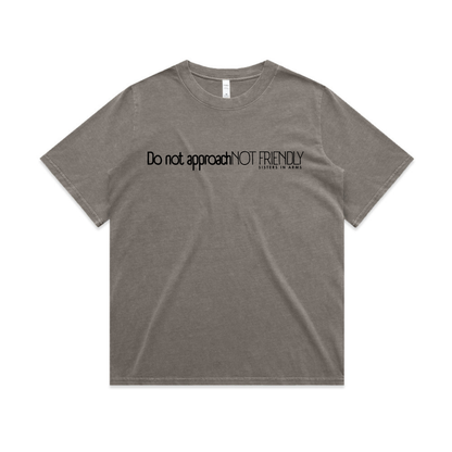 Not Friendly Heavy Tee