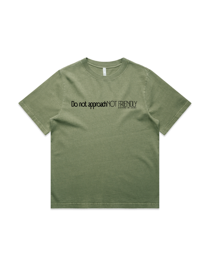 Not Friendly Heavy Tee